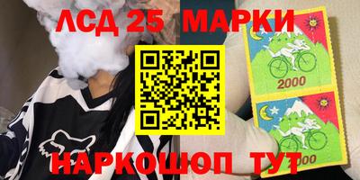 СК Бердск