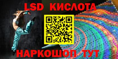 СК Бердск