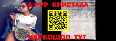 СК Бердск