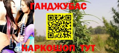 СК Бердск