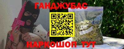 СК Бердск