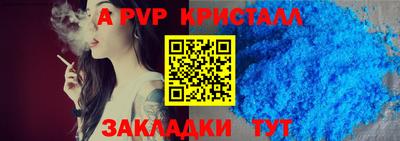 СК Бердск