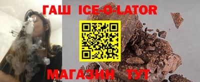 СК Бердск