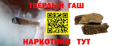 СК Бердск