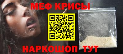 СК Бердск