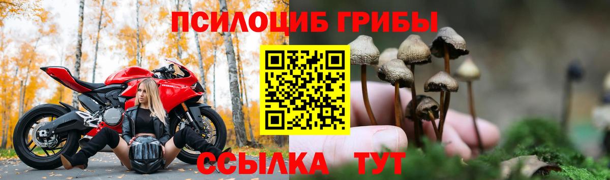 Галлюциногенные грибы GOLDEN TEACHER Бор
